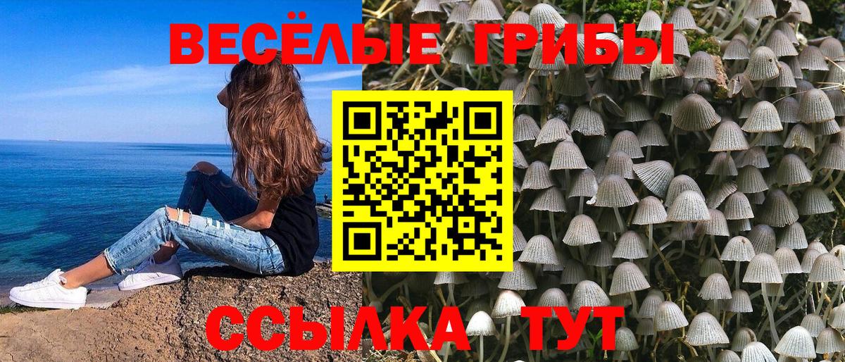 Псилоцибиновые грибы ЛСД Усть-Лабинск